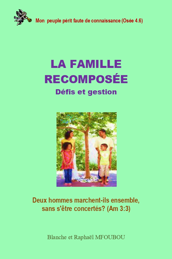 La famille recomposée : défis et gestion